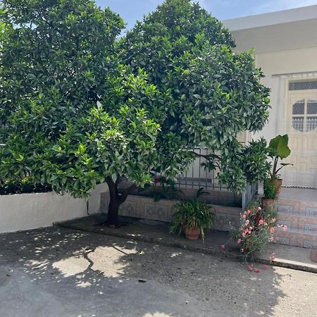 Rooms For Rent Habipi Vlorë Eksteriør billede